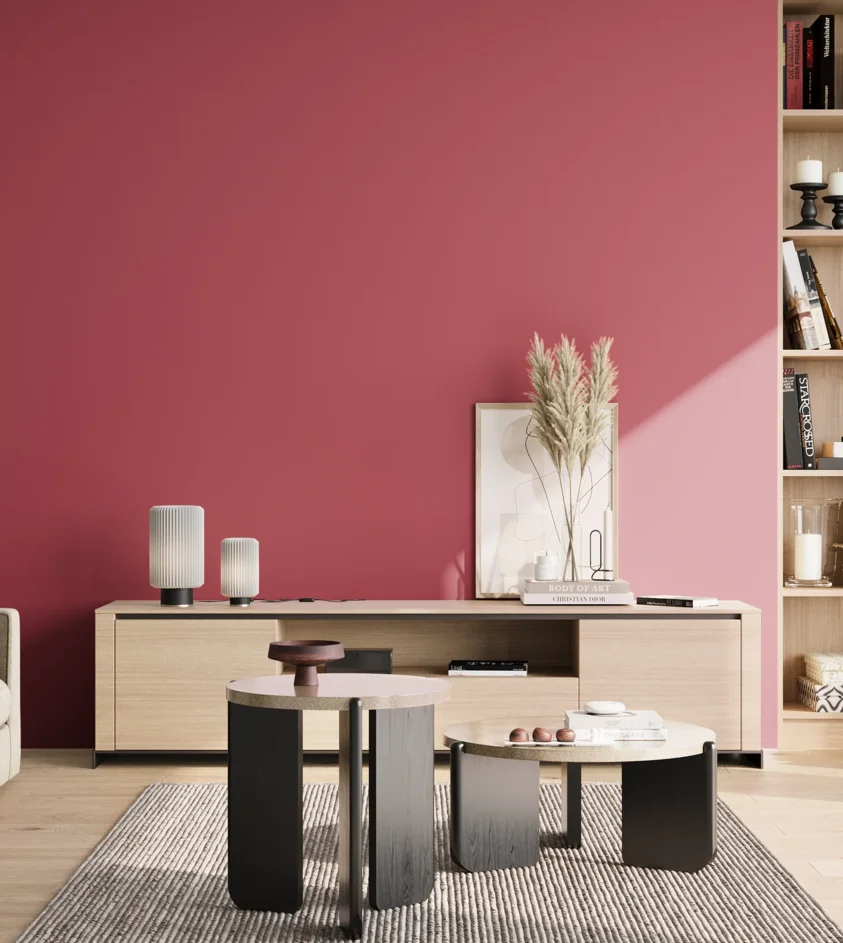 P10_SNIEZKA_salon_02_poludnie_GREY_S2060-R10B