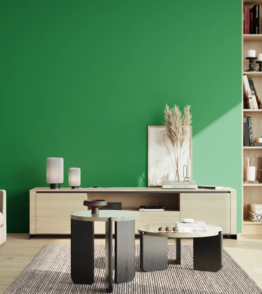 P10_SNIEZKA_salon_02_poludnie_GREY_S2070-G10Y