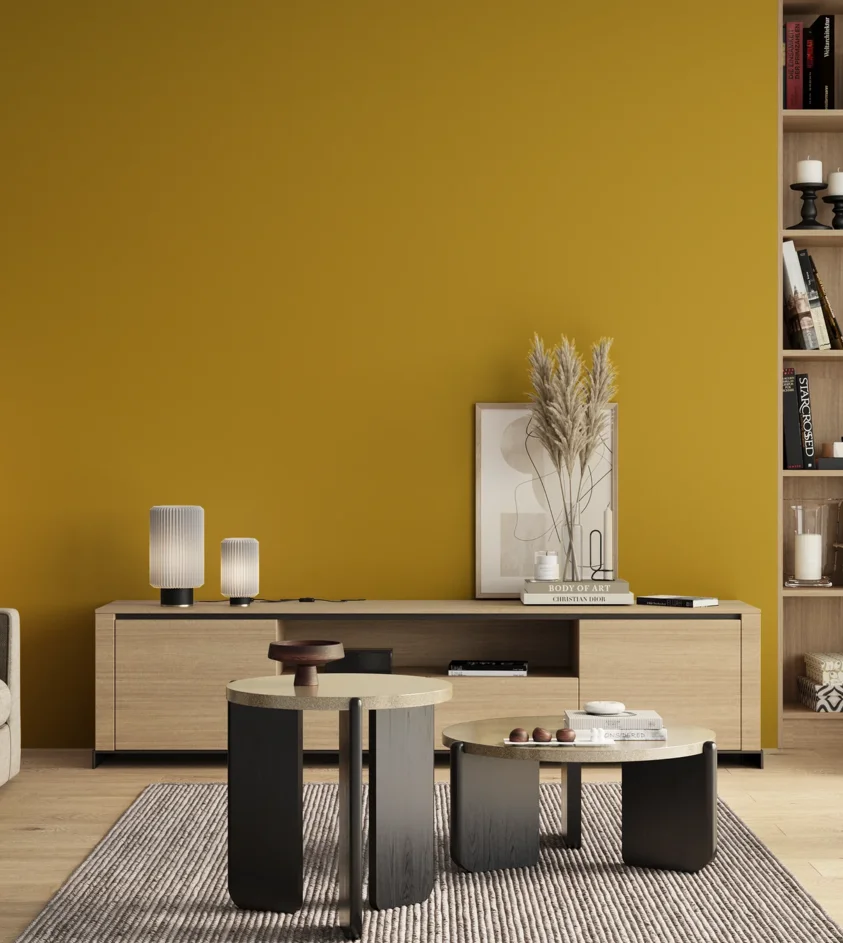 P10_SNIEZKA_salon_00_neutral_GREY_S2070-Y