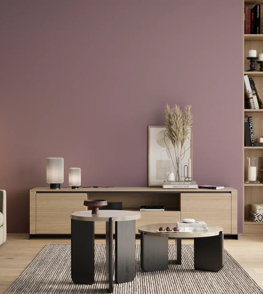 P10_SNIEZKA_salon_00_neutral_GREY_S3020-R30B