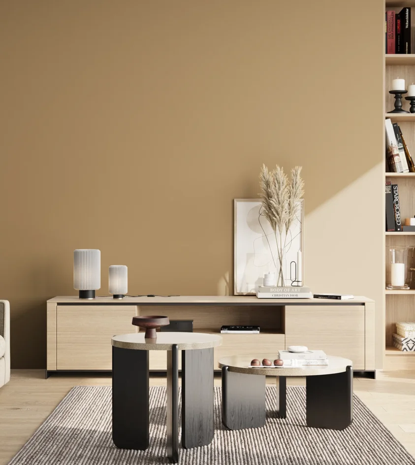P10_SNIEZKA_salon_02_poludnie_GREY_S3020-Y20R