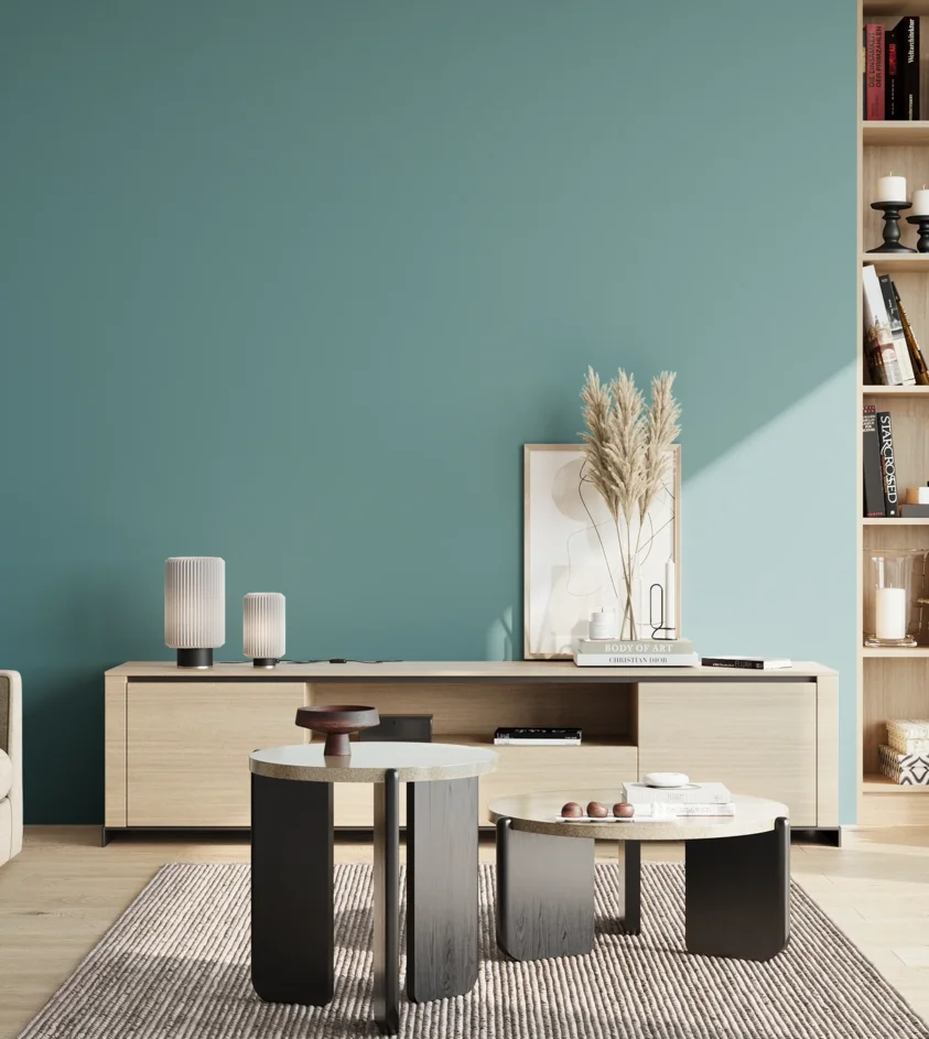 P10_SNIEZKA_salon_02_poludnie_GREY_S3030-B30G