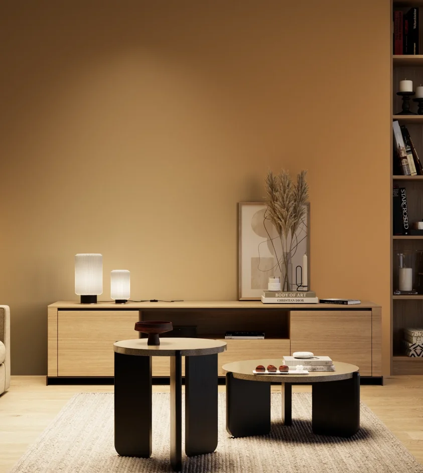 P10_SNIEZKA_salon_04_cieple_GREY_S3040-Y30R