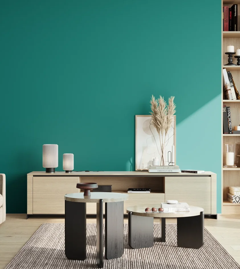 P10_SNIEZKA_salon_02_poludnie_GREY_S3050-B50G