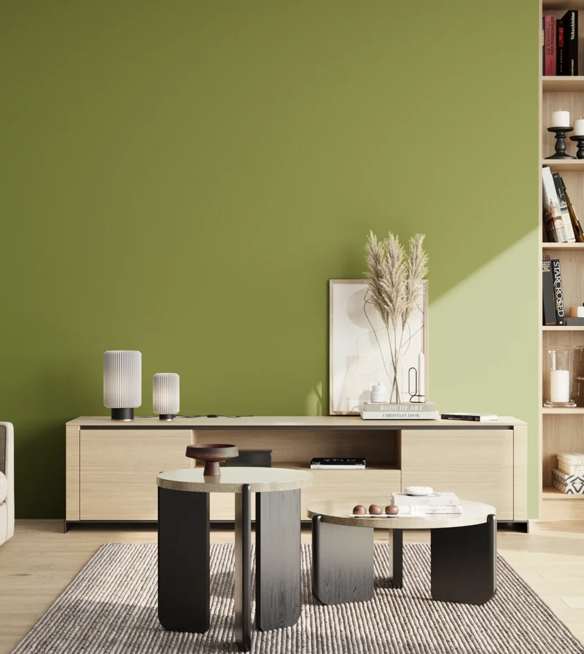 P10_SNIEZKA_salon_02_poludnie_GREY_S3050-G50Y