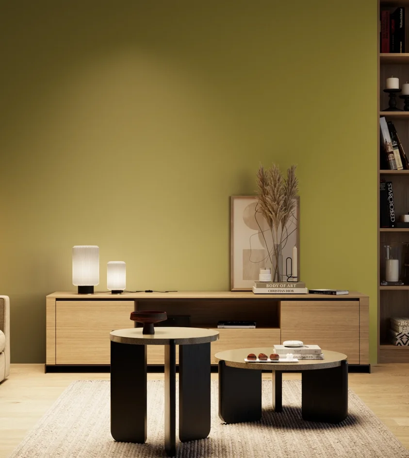 P10_SNIEZKA_salon_04_cieple_GREY_S3050-G80Y