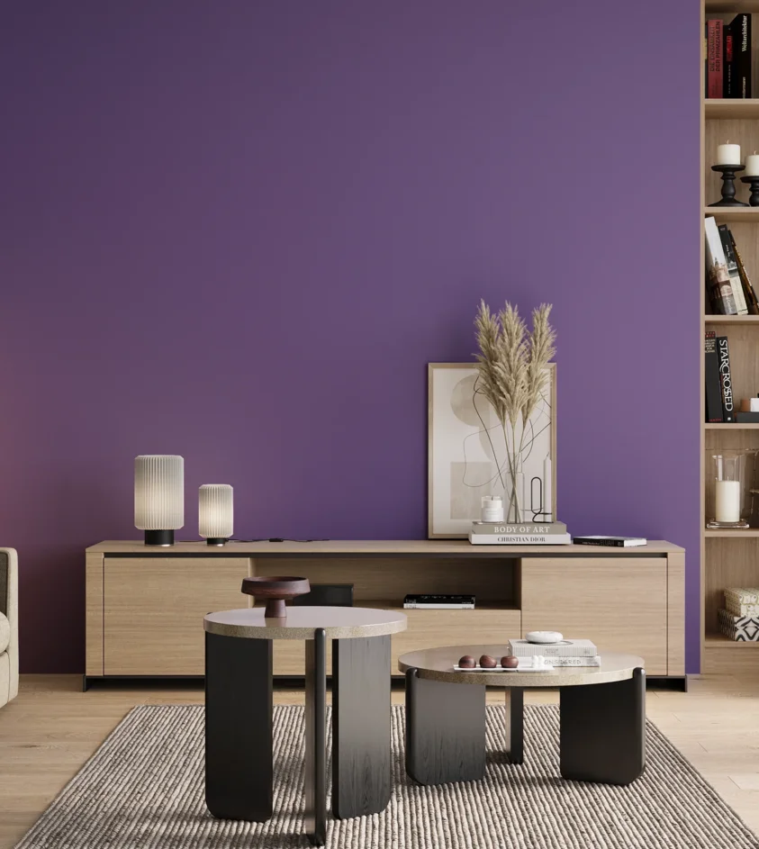 P10_SNIEZKA_salon_00_neutral_GREY_S3050-R60B