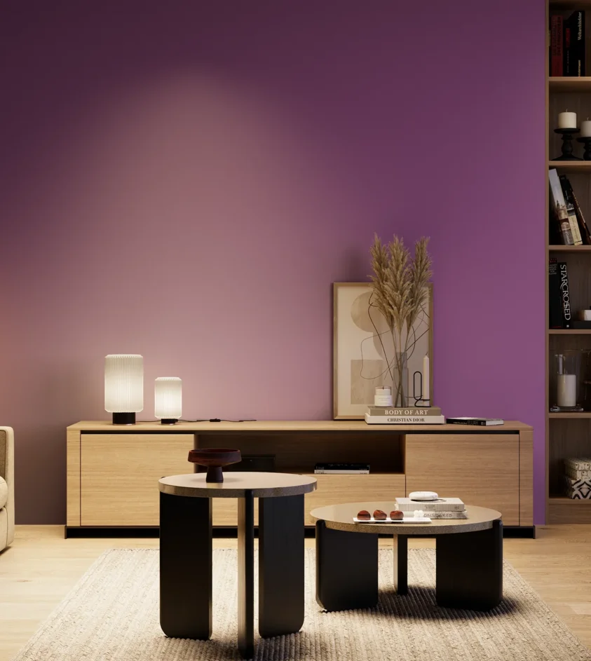 P10_SNIEZKA_salon_04_cieple_GREY_S3055-R50B