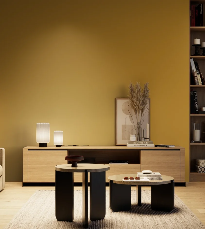 P10_SNIEZKA_salon_04_cieple_GREY_S3060-Y10R