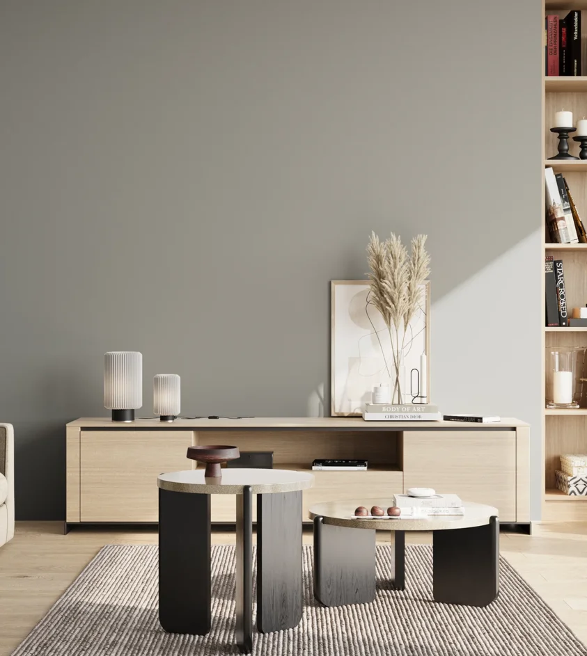 P10_SNIEZKA_salon_02_poludnie_GREY_S3502-G