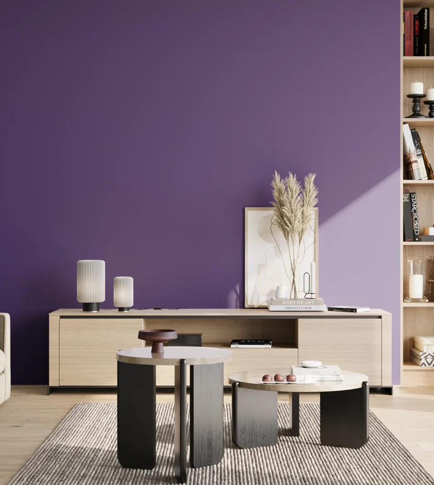 P10_SNIEZKA_salon_02_poludnie_GREY_S3555-R60B