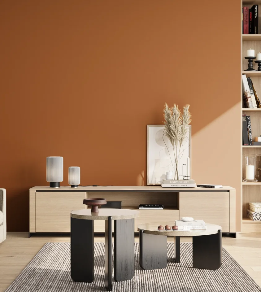 P10_SNIEZKA_salon_02_poludnie_GREY_S3560-Y40R