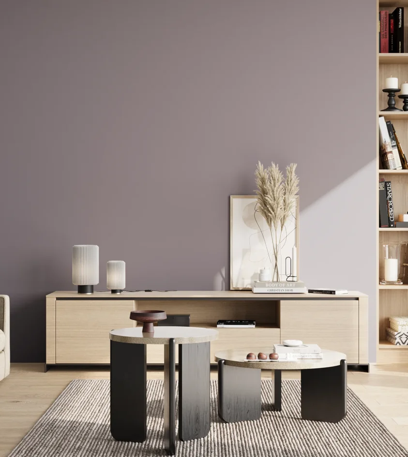 P10_SNIEZKA_salon_02_poludnie_GREY_S4010-R50B