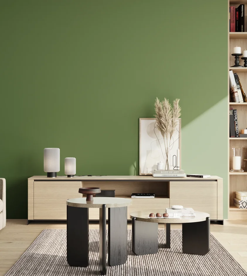 P10_SNIEZKA_salon_02_poludnie_GREY_S4040-G30Y