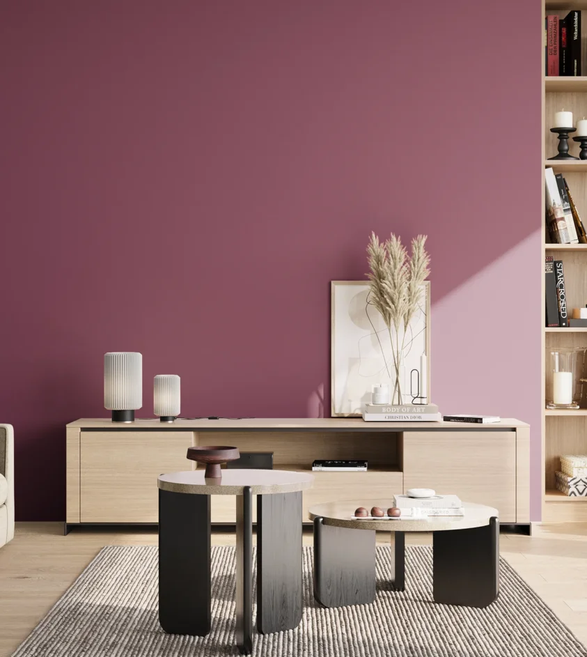 P10_SNIEZKA_salon_02_poludnie_GREY_S4040-R30B
