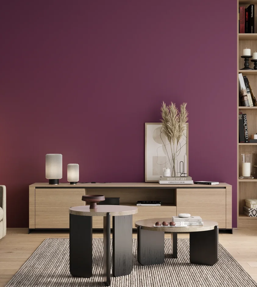P10_SNIEZKA_salon_00_neutral_GREY_S4050-R40B