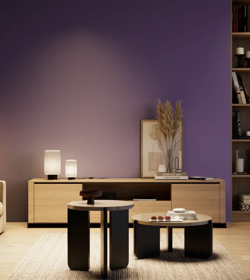 P10_SNIEZKA_salon_04_cieple_GREY_S4050-R60B