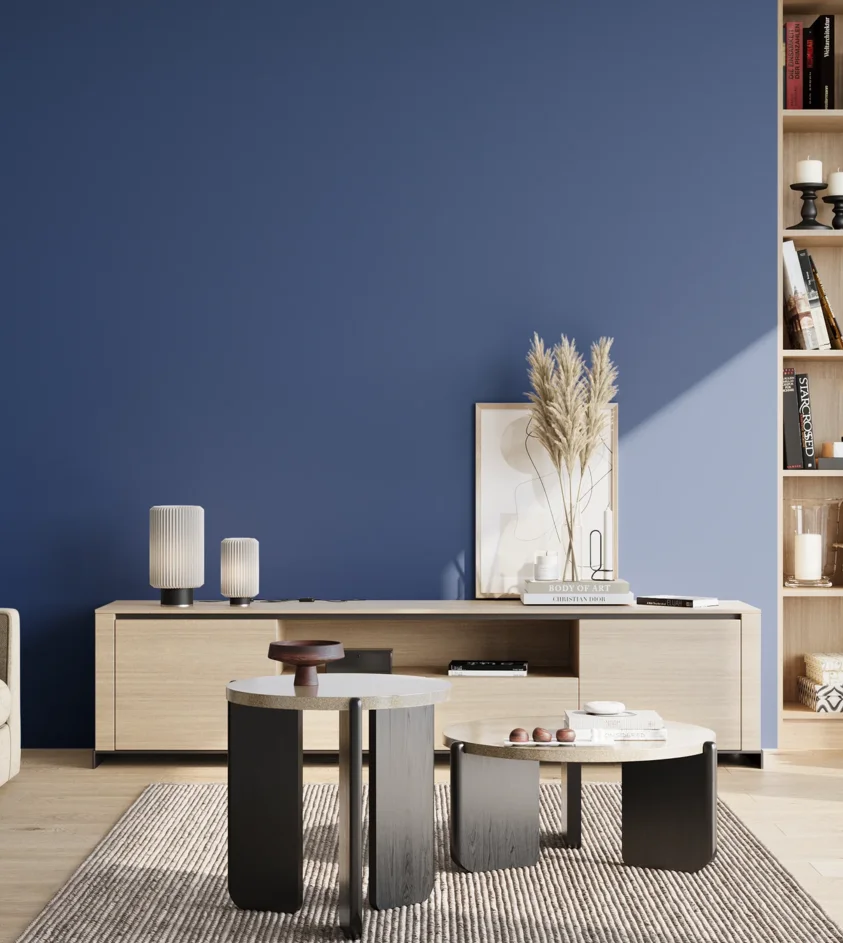 P10_SNIEZKA_salon_02_poludnie_GREY_S4050-R80B