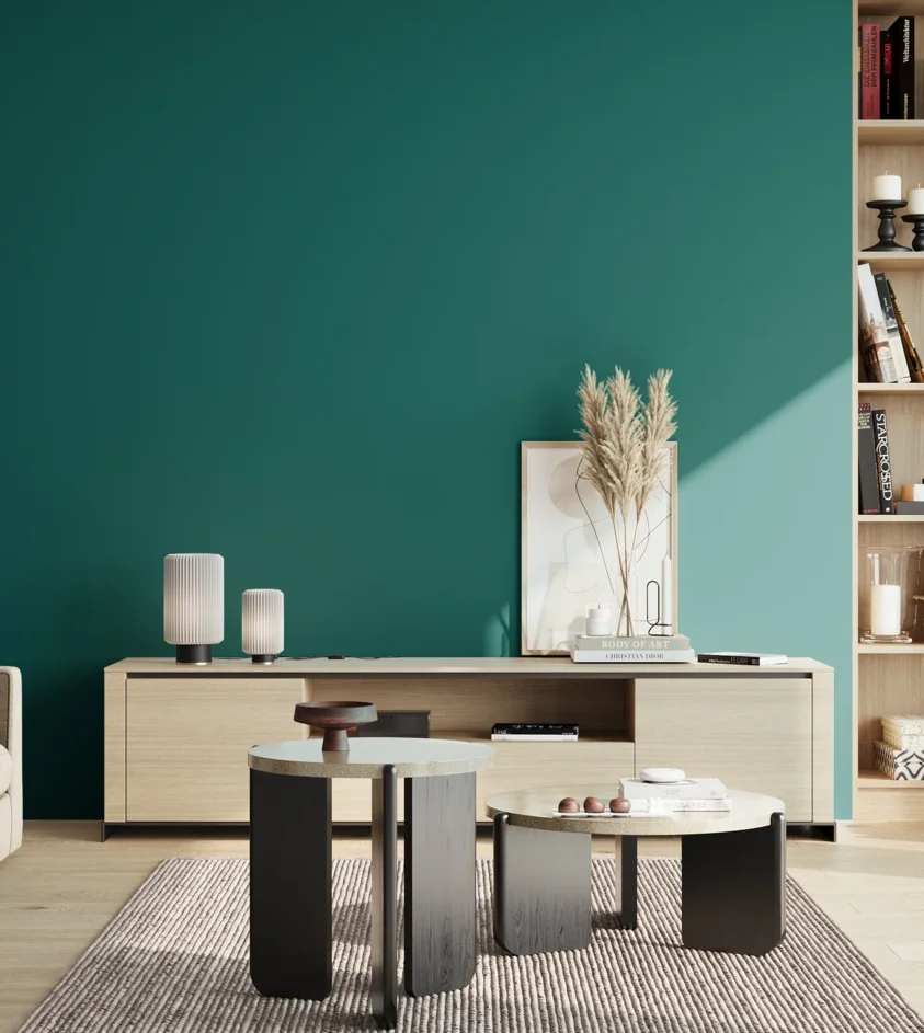 P10_SNIEZKA_salon_02_poludnie_GREY_S4550-B50G