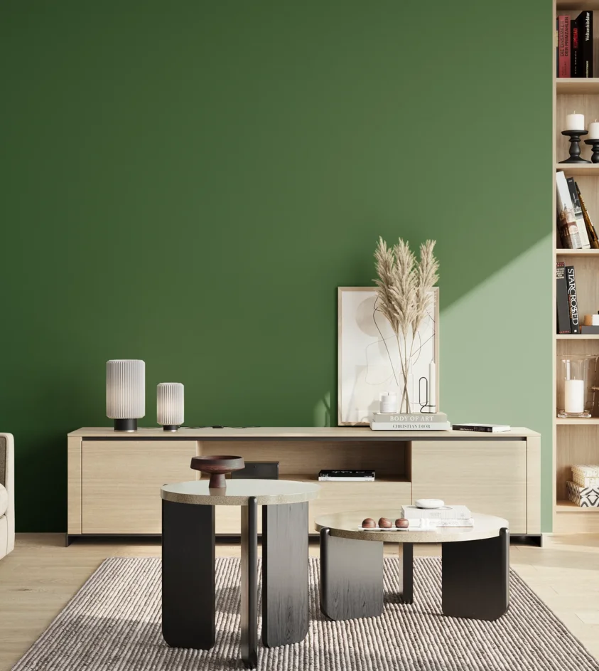 P10_SNIEZKA_salon_02_poludnie_GREY_S4550-G20Y