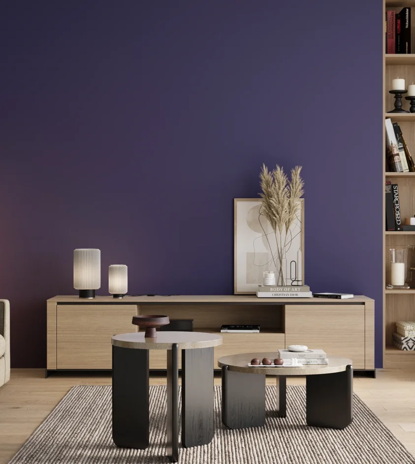 P10_SNIEZKA_salon_00_neutral_GREY_S4550-R70B