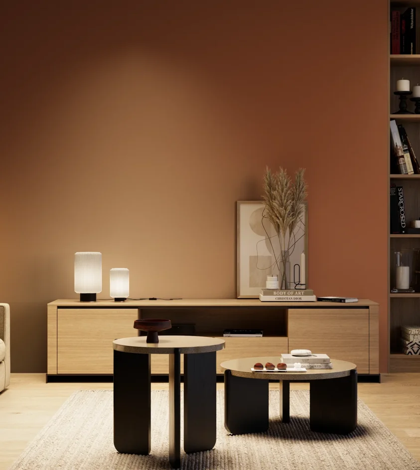 P10_SNIEZKA_salon_04_cieple_GREY_S4550-Y60R