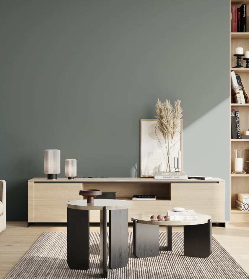 P10_SNIEZKA_salon_02_poludnie_GREY_S5010-B30G