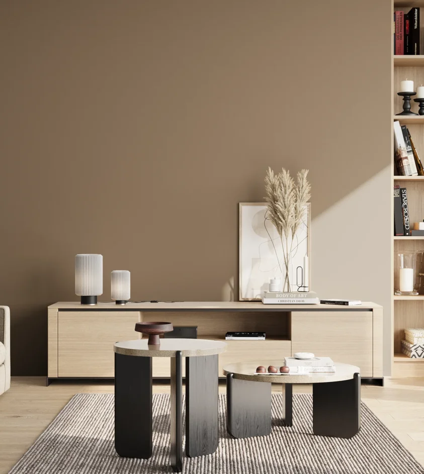 P10_SNIEZKA_salon_02_poludnie_GREY_S5010-Y30R