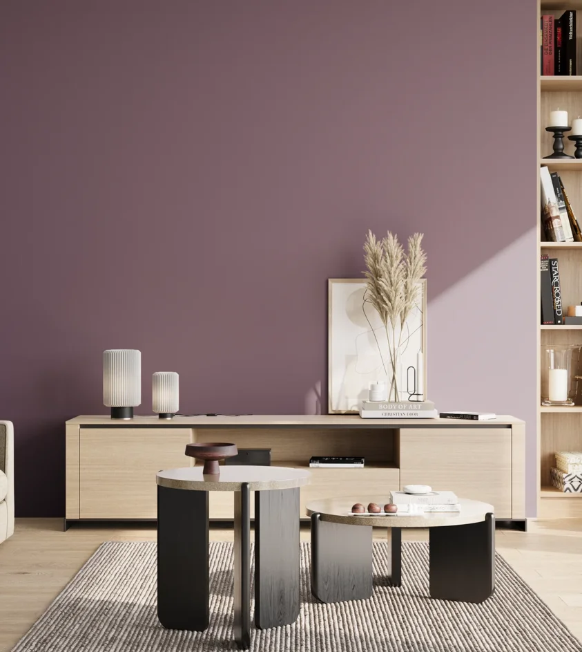 P10_SNIEZKA_salon_02_poludnie_GREY_S5020-R40B