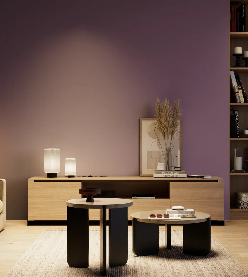 P10_SNIEZKA_salon_04_cieple_GREY_S5030-R50B