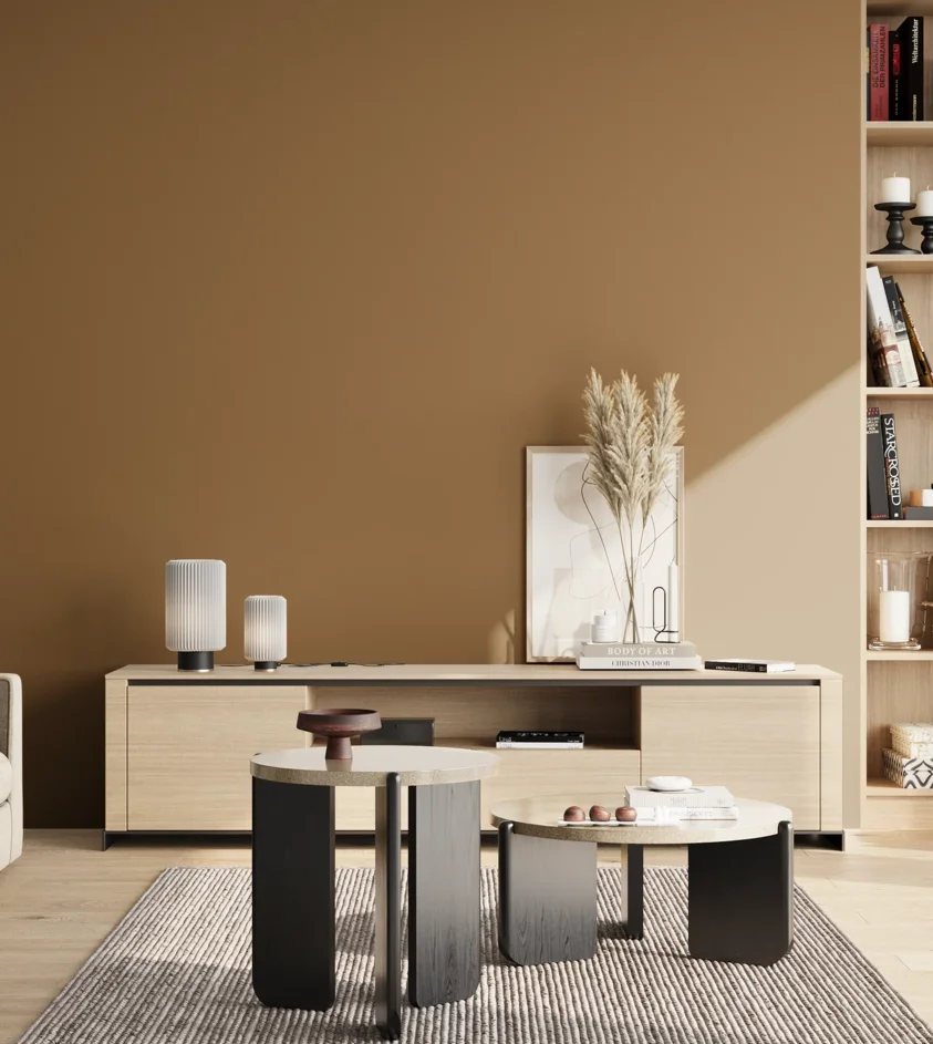 P10_SNIEZKA_salon_02_poludnie_GREY_S5030-Y20R