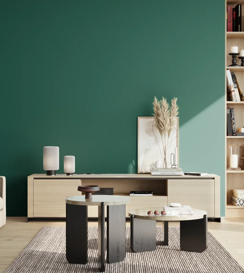 P10_SNIEZKA_salon_02_poludnie_GREY_S5040-B70G