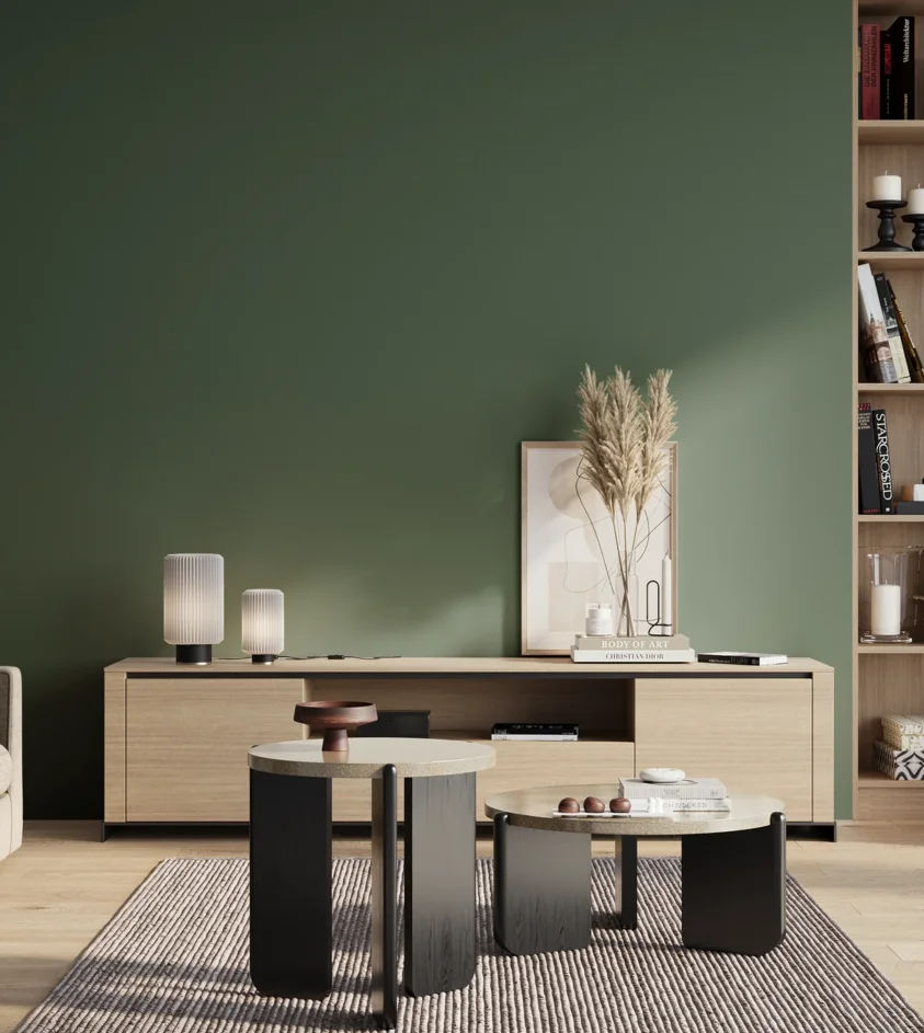 P10_SNIEZKA_salon_01_poranek_GREY_S6020-G