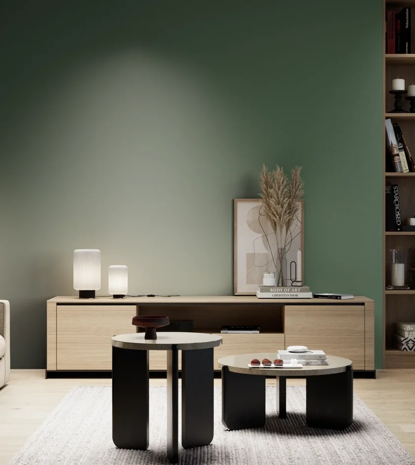 P10_SNIEZKA_salon_05_zimne_GREY_S6020-G10Y