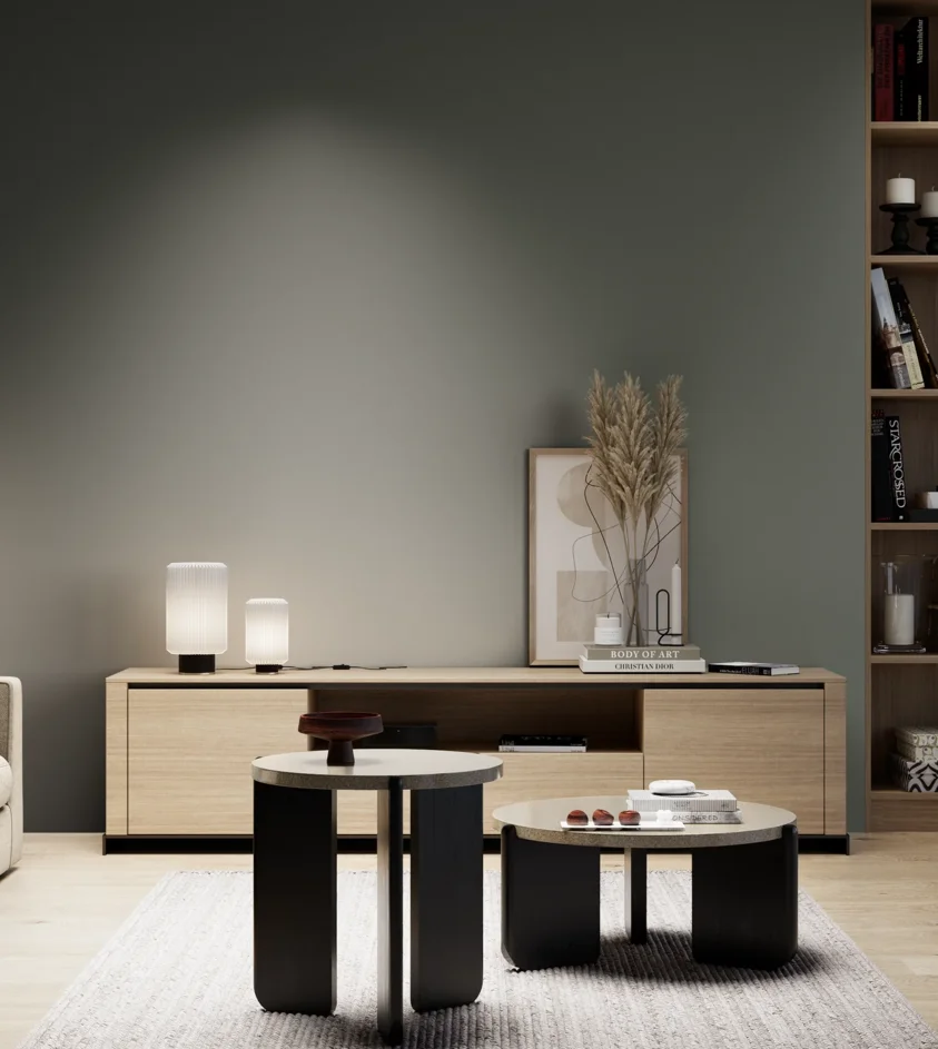 P10_SNIEZKA_salon_05_zimne_GREY_S7005-G20Y