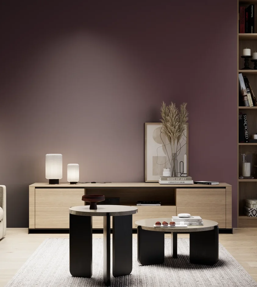 P10_SNIEZKA_salon_05_zimne_GREY_S7020-R20B