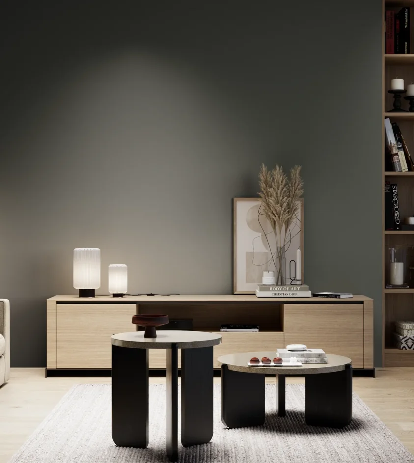 P10_SNIEZKA_salon_05_zimne_GREY_S8005-G20Y