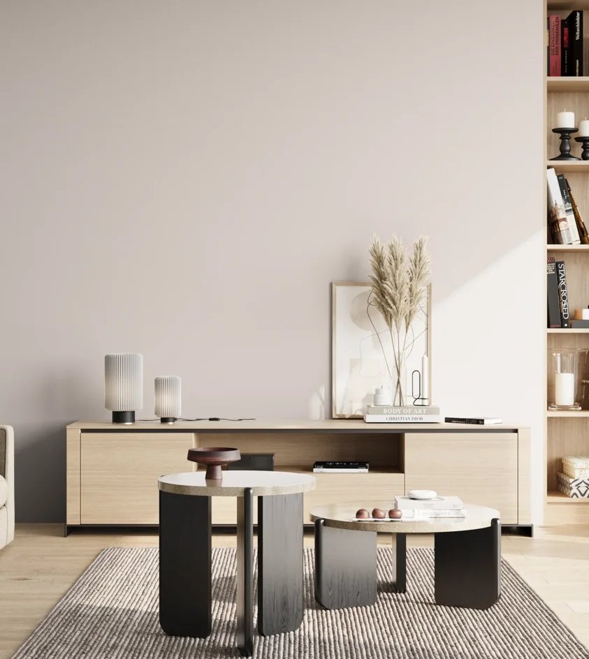 P10_SNIEZKA_salon_02_poludnie_GREY_S1002-Y80R