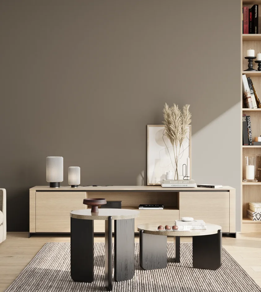 P10_SNIEZKA_salon_02_poludnie_GREY_S5502-Y20R