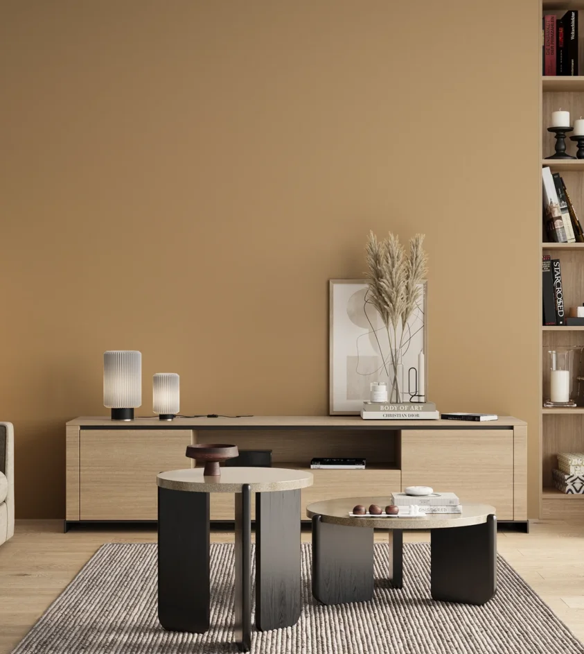 P10_SNIEZKA_salon_00_neutral_GREY_RAL1001