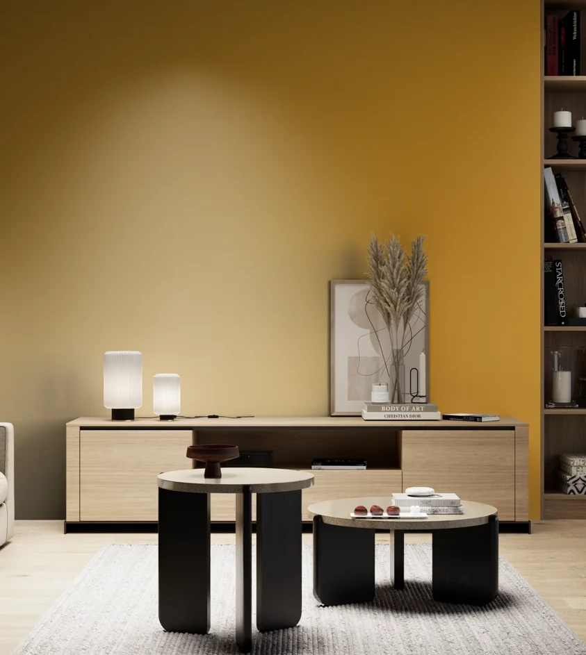 P10_SNIEZKA_salon_05_zimne_GREY_RAL1005