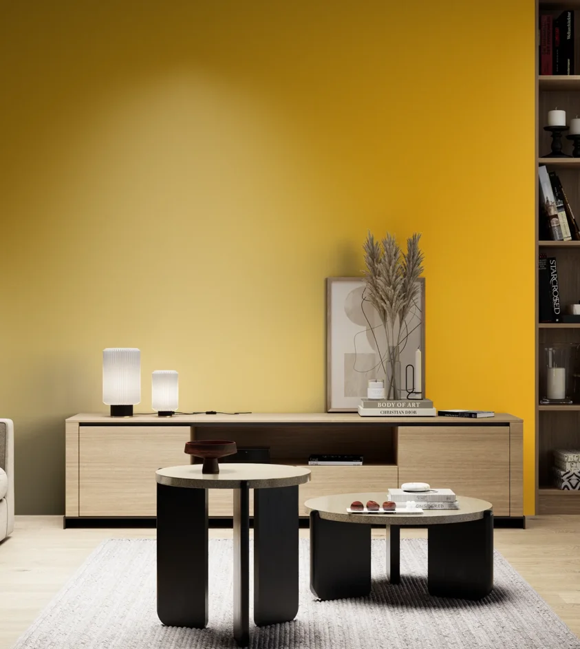 P10_SNIEZKA_salon_05_zimne_GREY_RAL1023