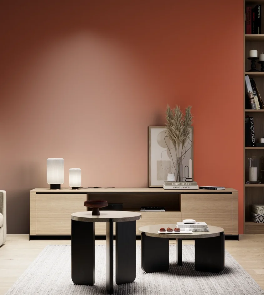 P10_SNIEZKA_salon_05_zimne_GREY_RAL2001