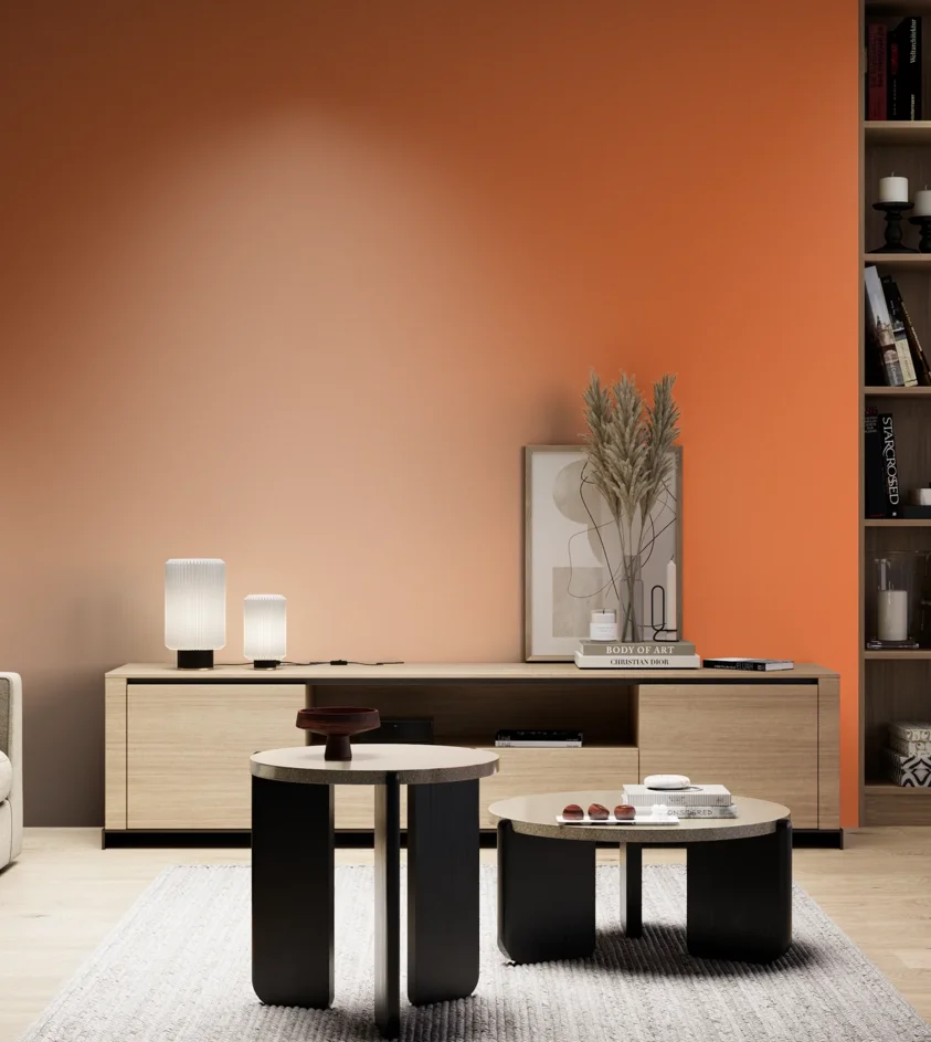 P10_SNIEZKA_salon_05_zimne_GREY_RAL2003