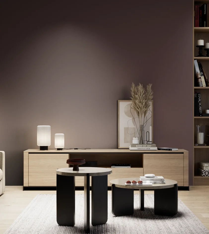 P10_SNIEZKA_salon_05_zimne_GREY_RAL3007