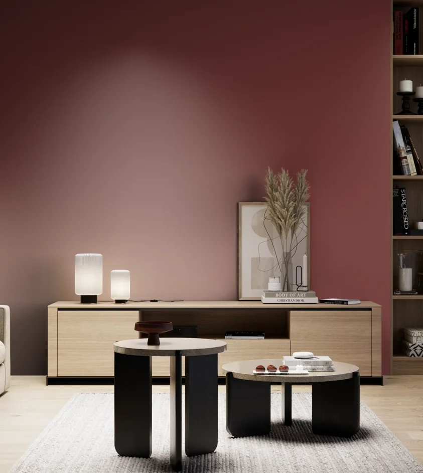 P10_SNIEZKA_salon_05_zimne_GREY_RAL3011