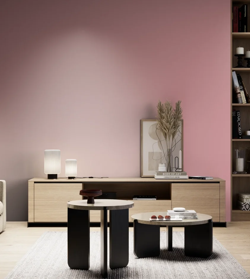 P10_SNIEZKA_salon_05_zimne_GREY_RAL3015