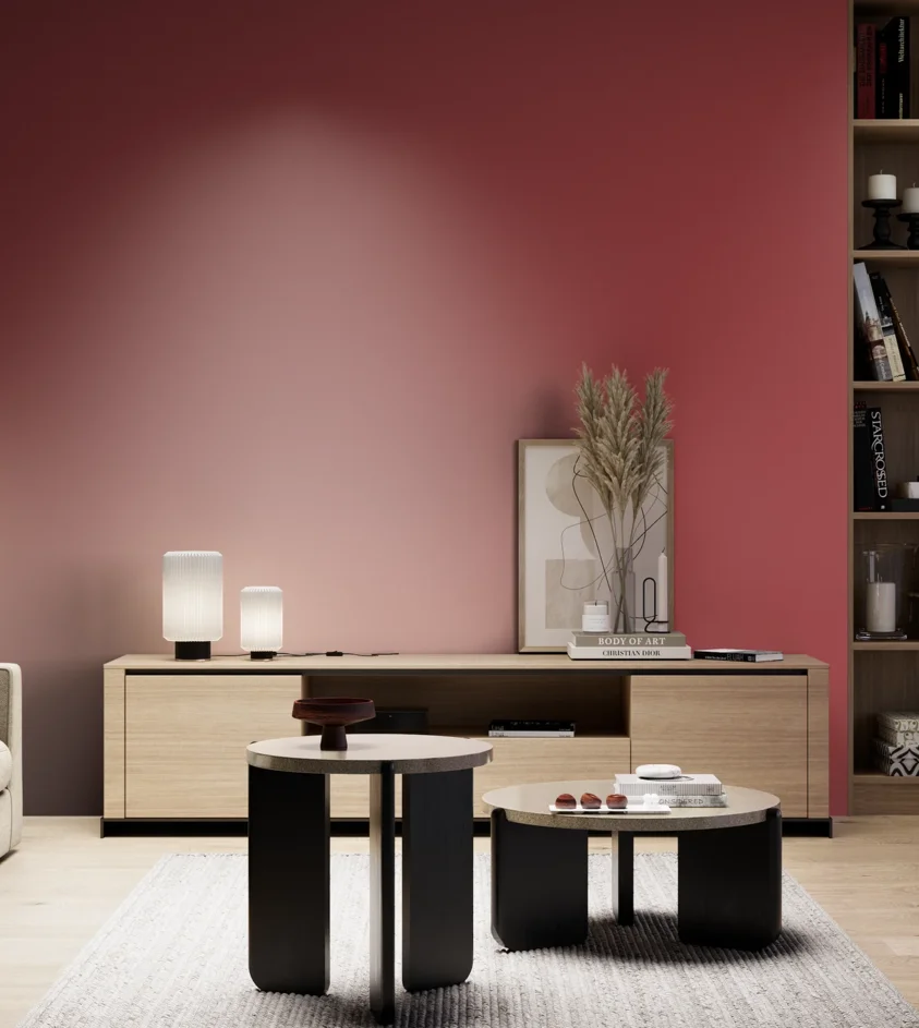 P10_SNIEZKA_salon_05_zimne_GREY_RAL3031
