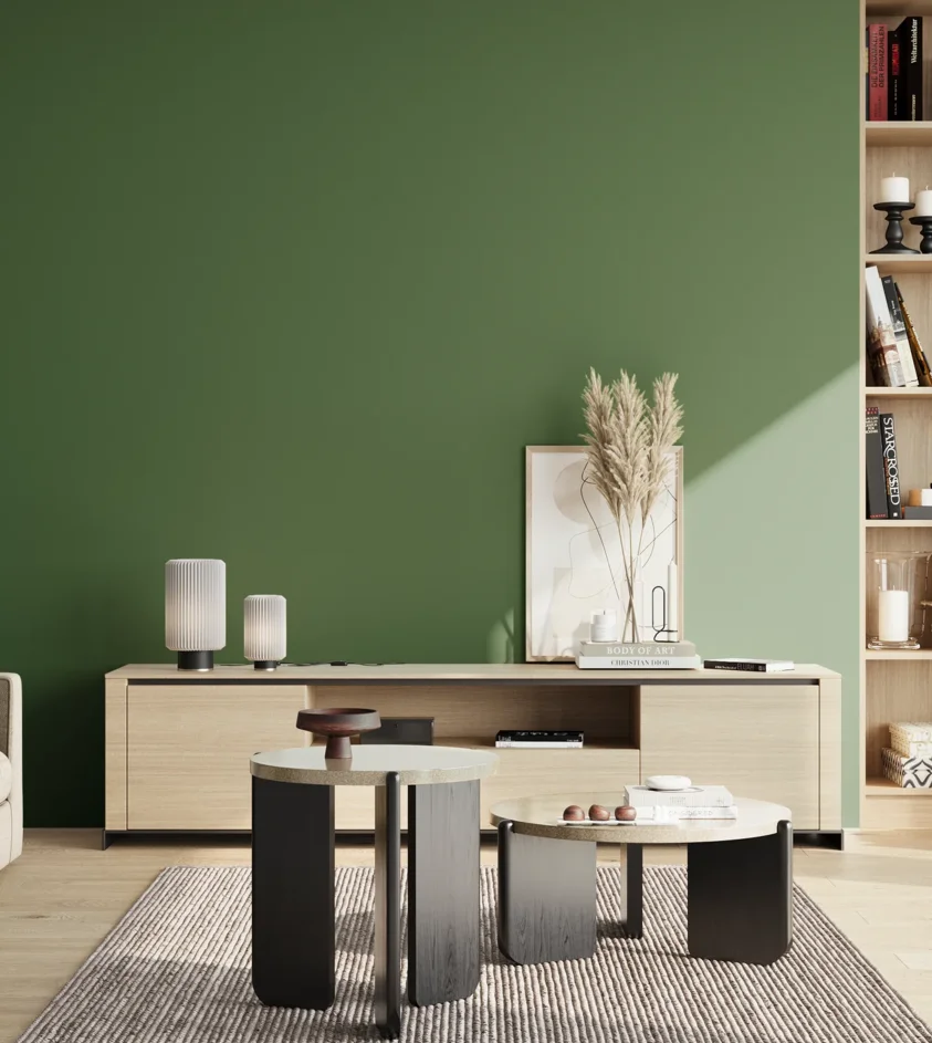 P10_SNIEZKA_salon_02_poludnie_GREY_RAL6001
