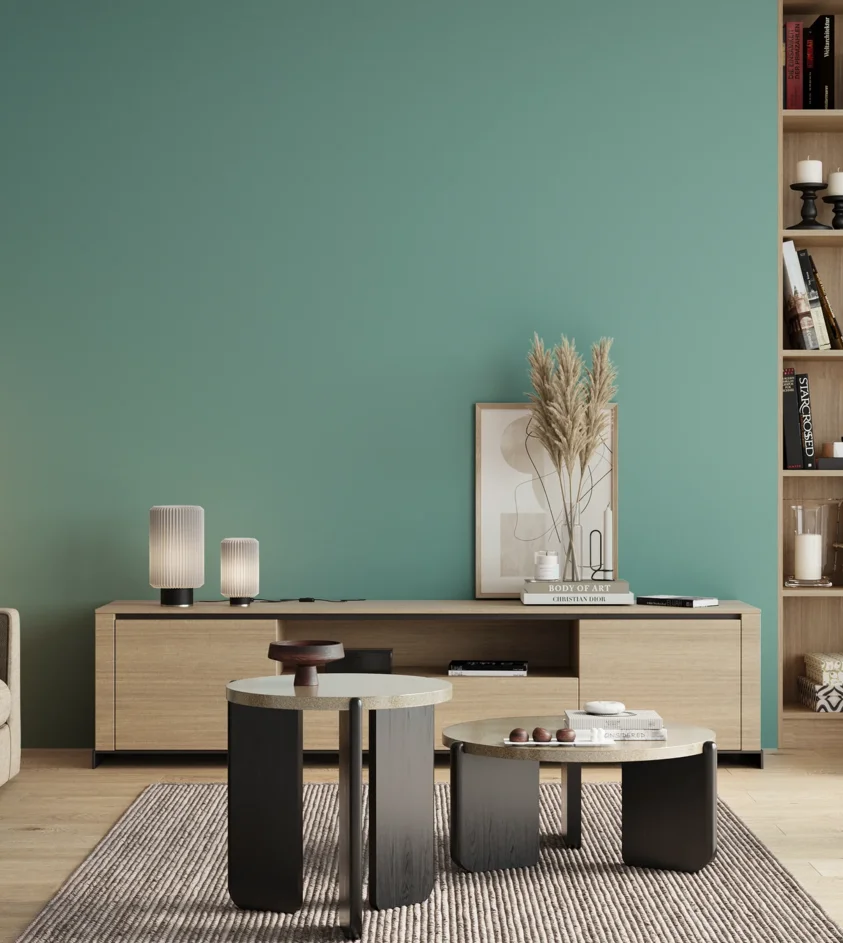 P10_SNIEZKA_salon_00_neutral_GREY_RAL6027
